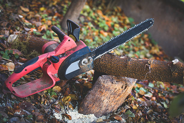 Leaf Removal in Wyandotte, MI